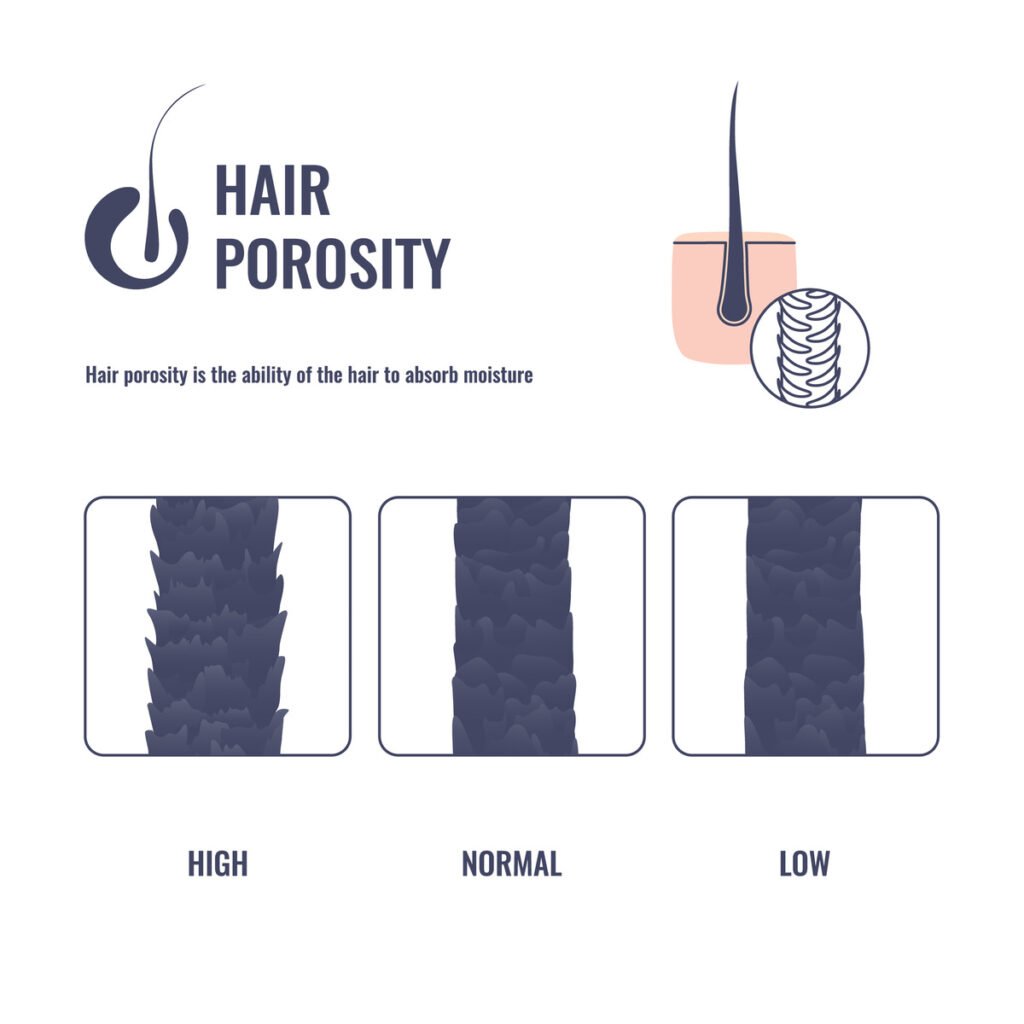 An image that shows what a hair strand looks like from up close when they have high, normal or low porosity hair